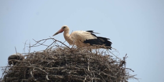 Morocco Tours ! Travel with us ! Morocco Tours ! Travel with us ! Website design by GOMARNAD